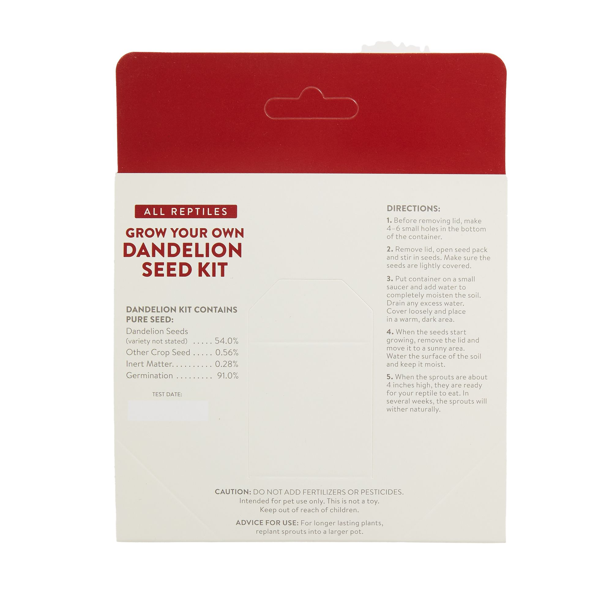 Dandelion Determination Thrive Global - Artistic 4K Ocean Pictures | Free Download