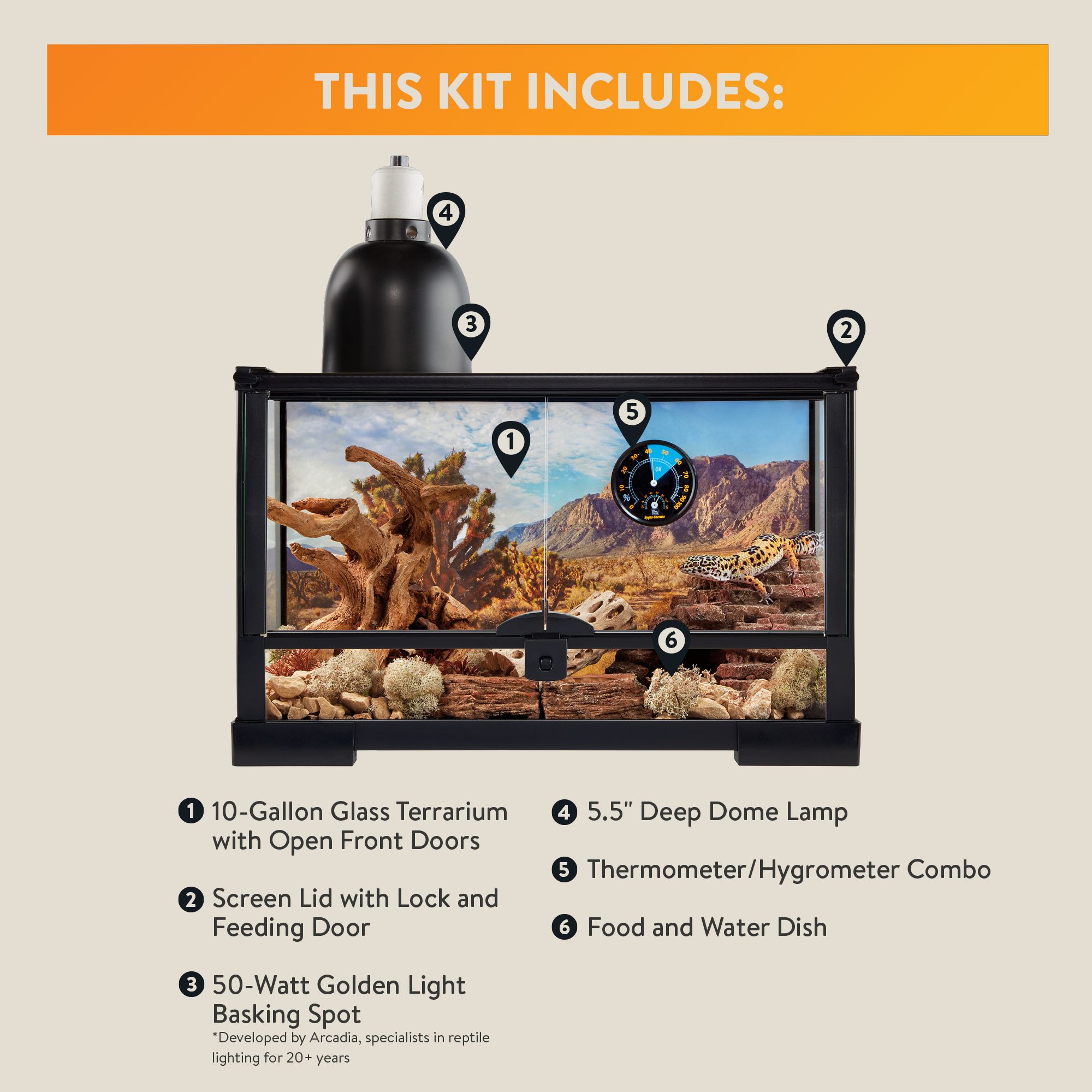 Thrive Desert Essentials Kit 10 Gallon - Premium Mountain Background - Mobile