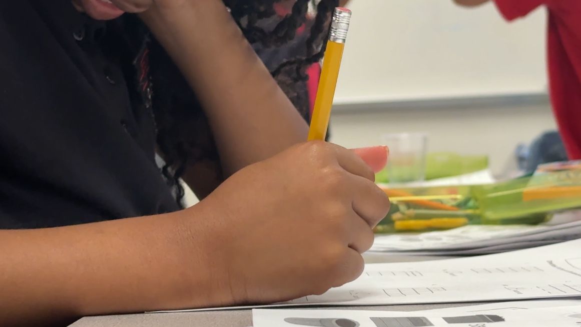Why Are Suspensions Harmful? Advocates Fight for Change in NY Schools (2026)