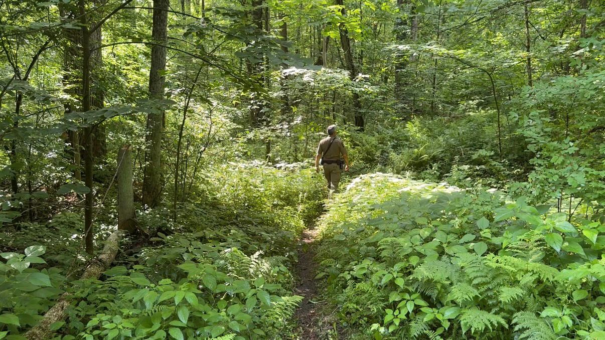 Stay Safe and Enjoy the Great Outdoors: Tips for Hiking in the Heat (2026)