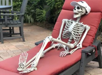 There was a recent leak for the home depot 2022 halloween collection and. A Day In The Life Of Halloween Skeletons Party City