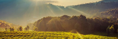 Sustainability Advisory Panel Tetra Pak Global - Download Premium Space Background | Full HD