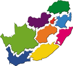 The ANC’s plan to cut 9 provinces down to 6 condemned
