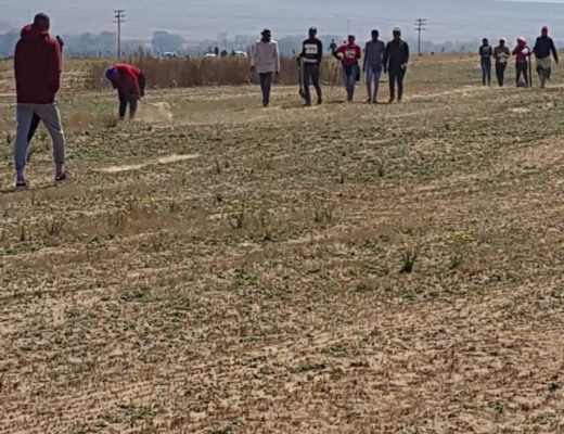 The beginning of the end - Land grabbers staked their claim on farmland at Kriel