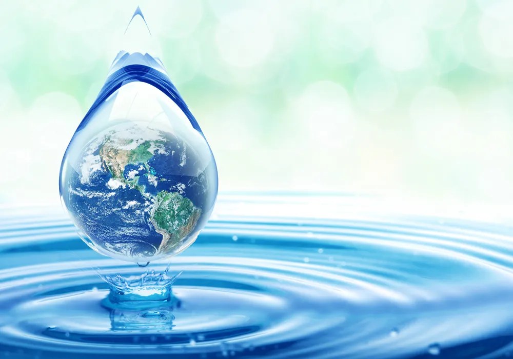 Sustainability