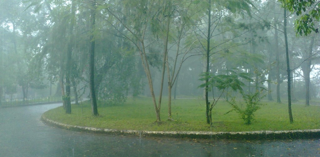 CMS-when-it-is-raining...!!!(1)