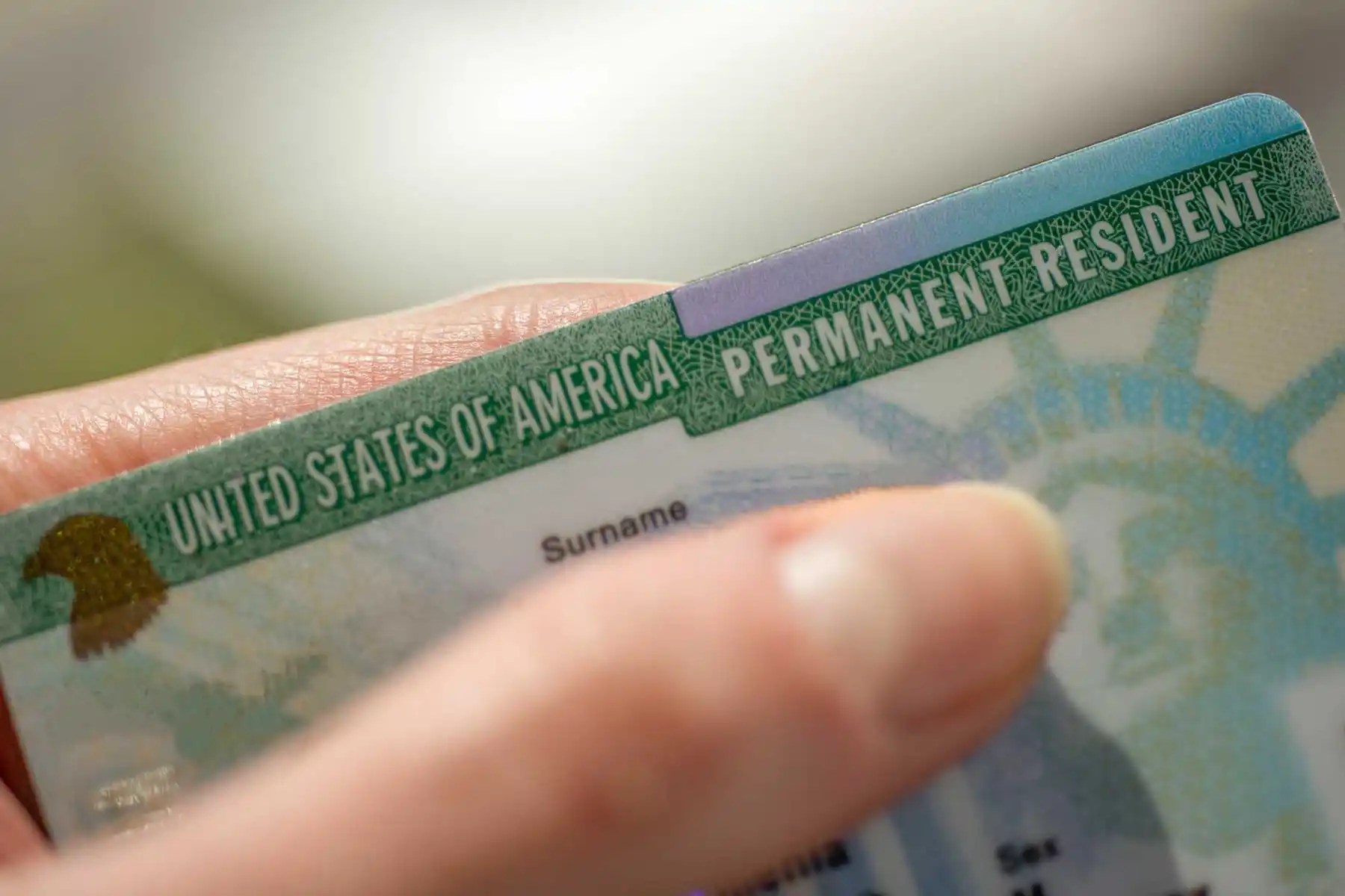 Path To Citizenship How Green Card Holders Can Become U S Citizens Green Card.webp