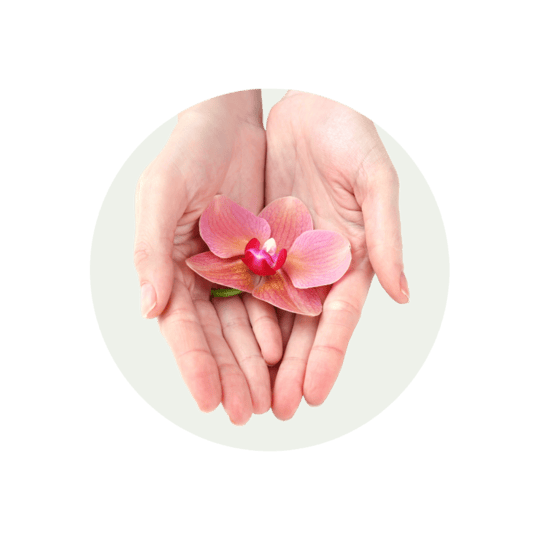 a pair of hands holding a flower