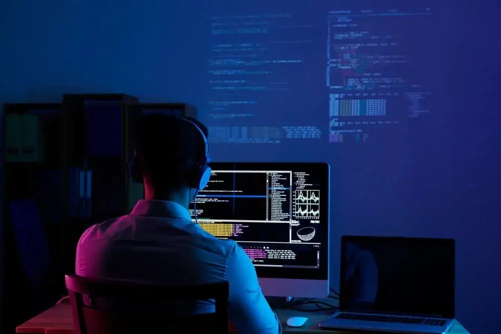 Best Web Developer