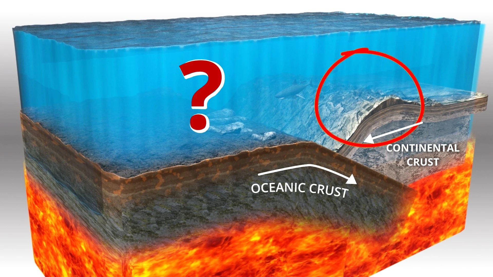Ocean beds Interaction