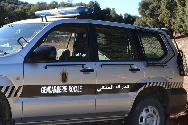 الدرك الملكي ببوعرفة يحبط عملية تهريب 36 كيلوغرامًا من الذهب المهرب من الجزائر