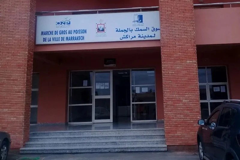جدل حول تنظيم الولوج إلى سوق السمك بمراكش.. حقوقيون يطالبون بمهلة والمكتب الوطني للصيد ينفي فرض شروط جديدة