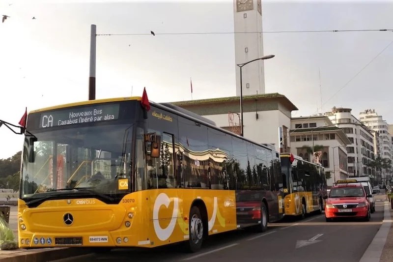 قرض بـ444 مليون درهم يعبّد الطريق لاقتناء 350 حافلة من “ألزا البيضاء” بالدار البيضاء