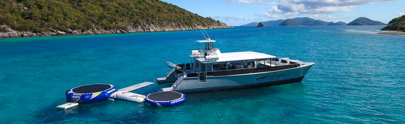 Sabrage Day Charter Catamaran St Thomas Vi Private Group