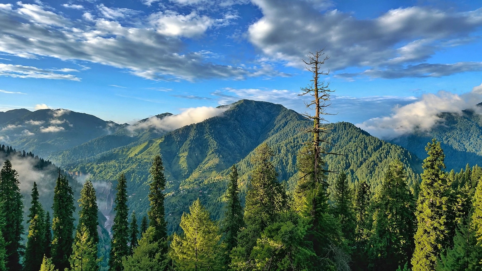 Pakistan Galiyat