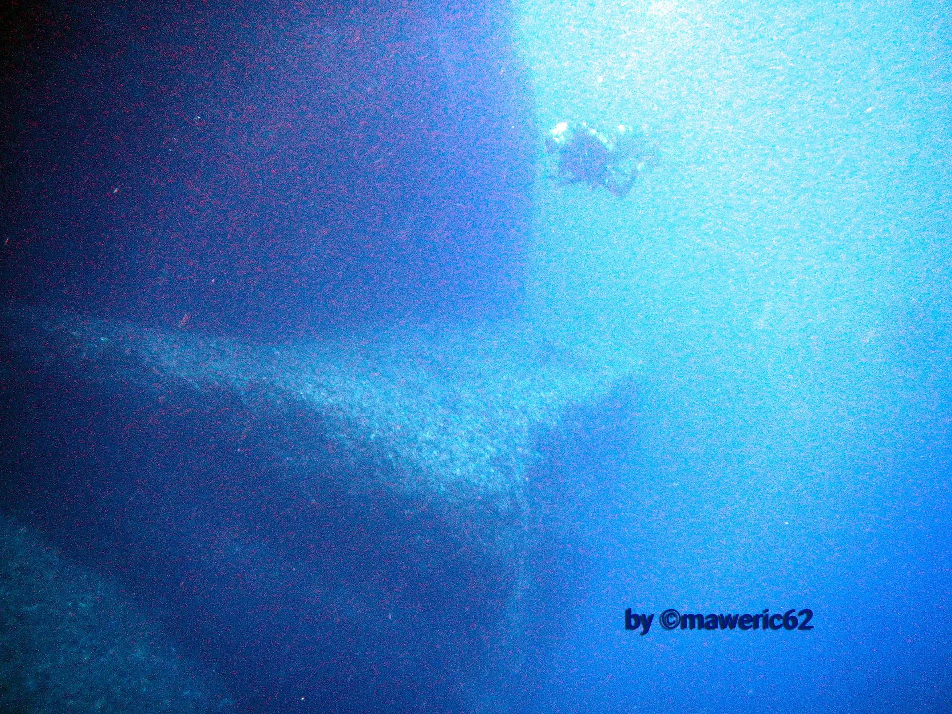 Subacqueo in esplorazione alla Dragona