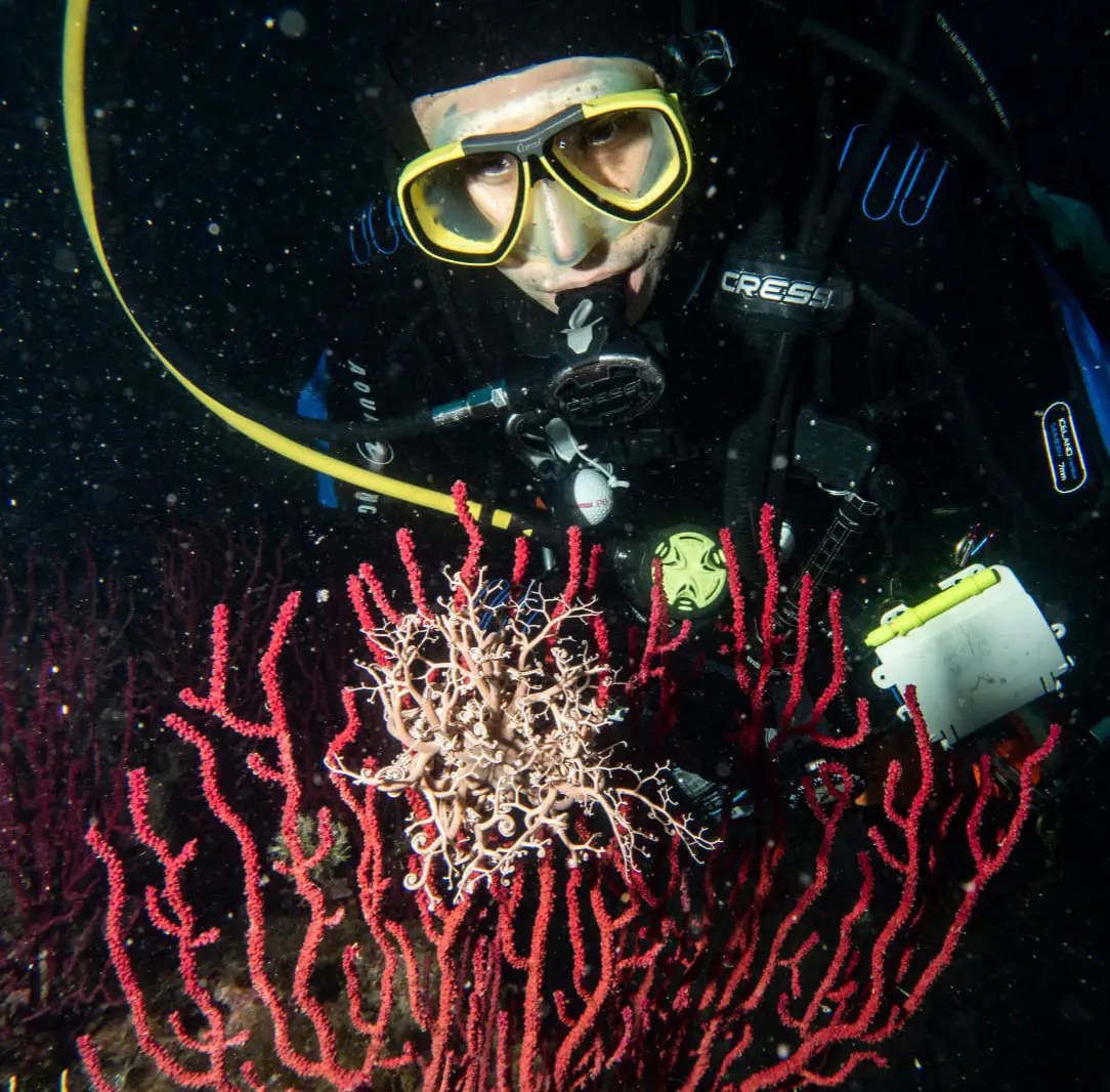 Ritratto di Fabio Venegoni.