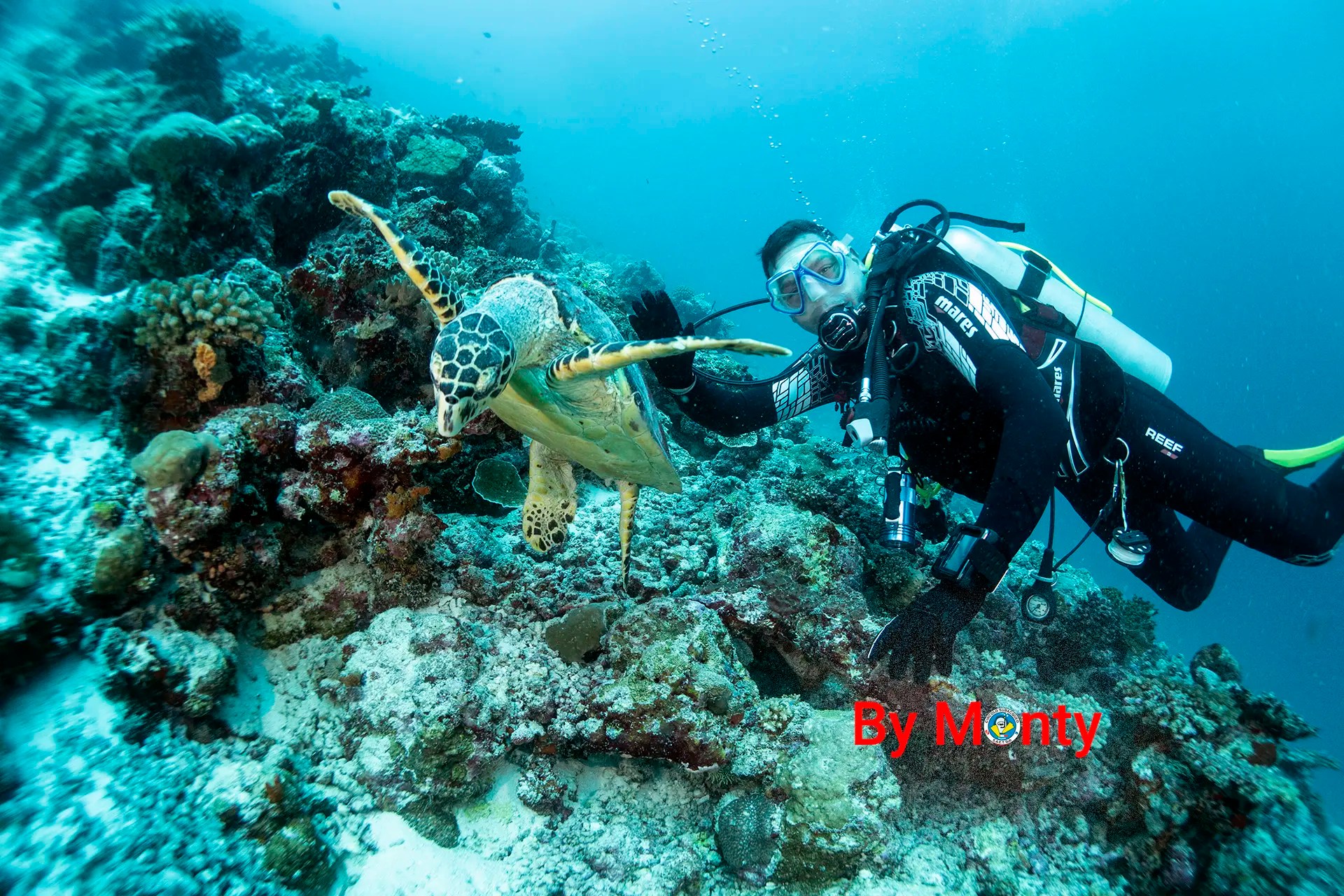 tartaruga con sub alle Maldive.