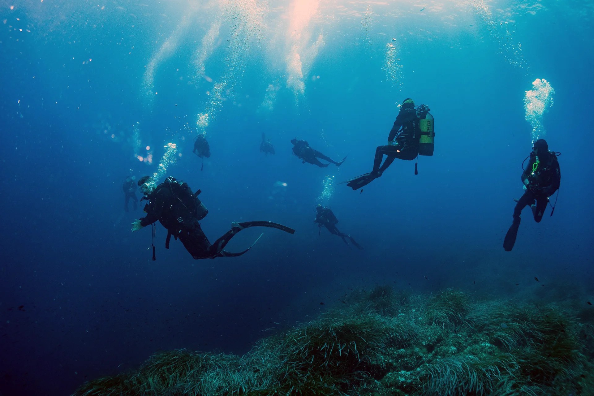 Gruppo di Sub in discesa nei fondali dell'Elba.