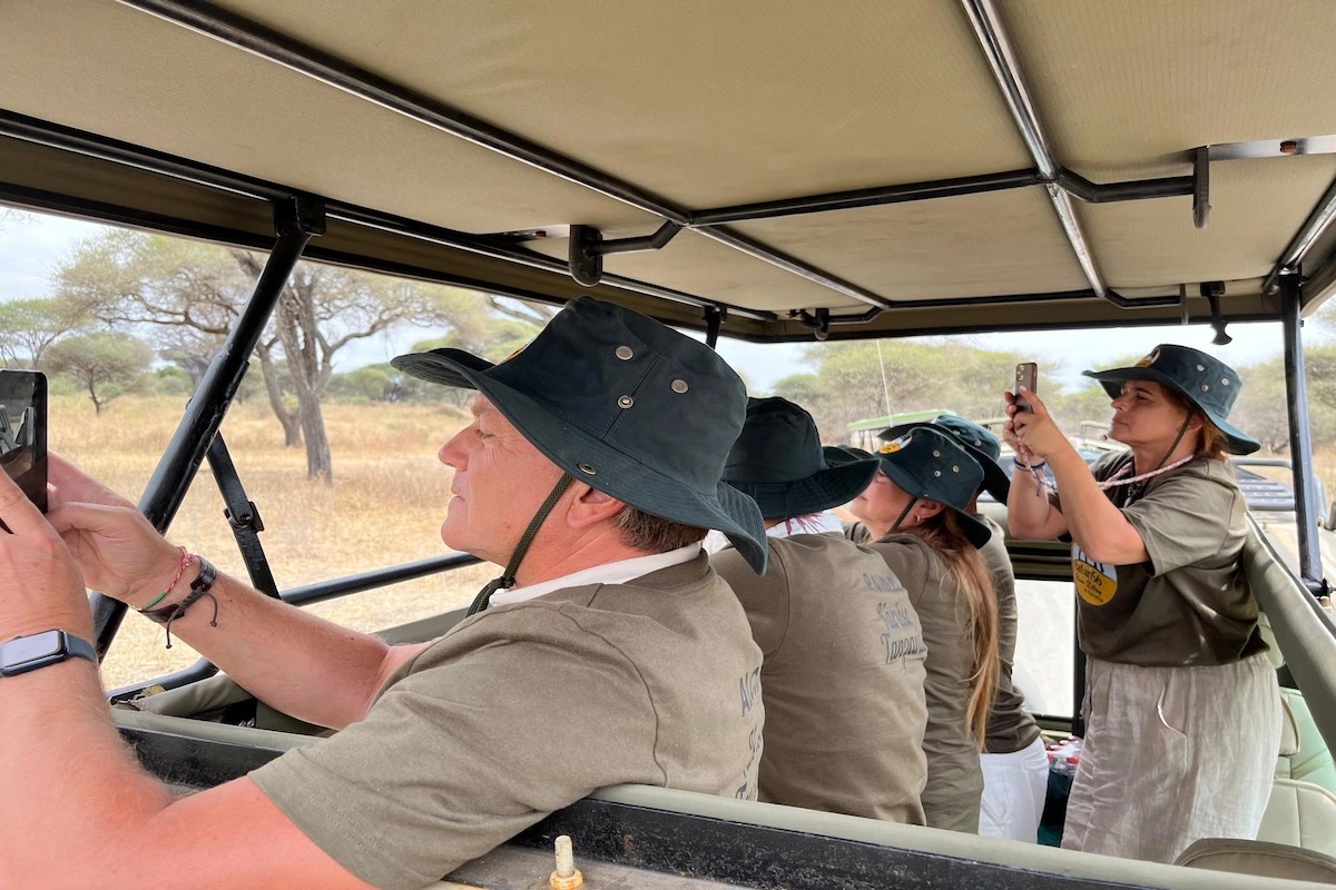 Tanzania Wildlife Safari