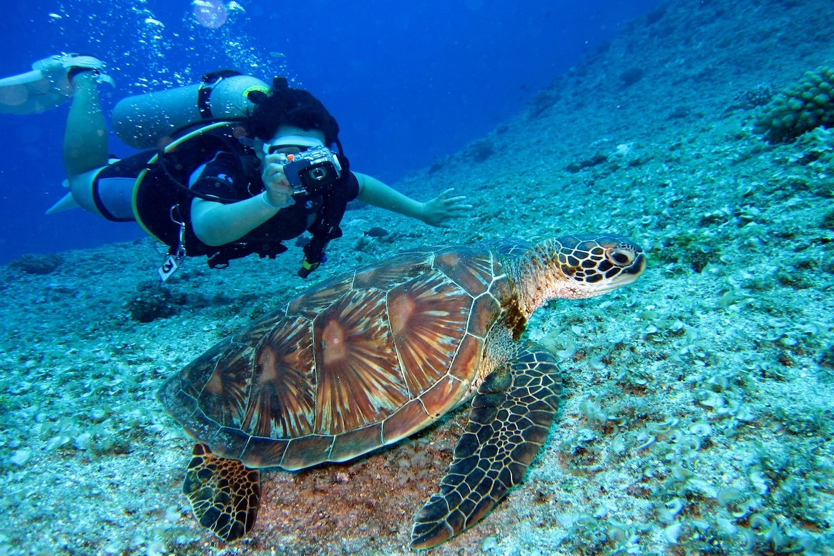 10-Day Best of Tanzania Safari & Zanzibar Beach