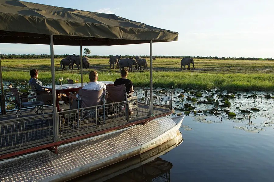 Chobe Game Lodge, Boating Safari