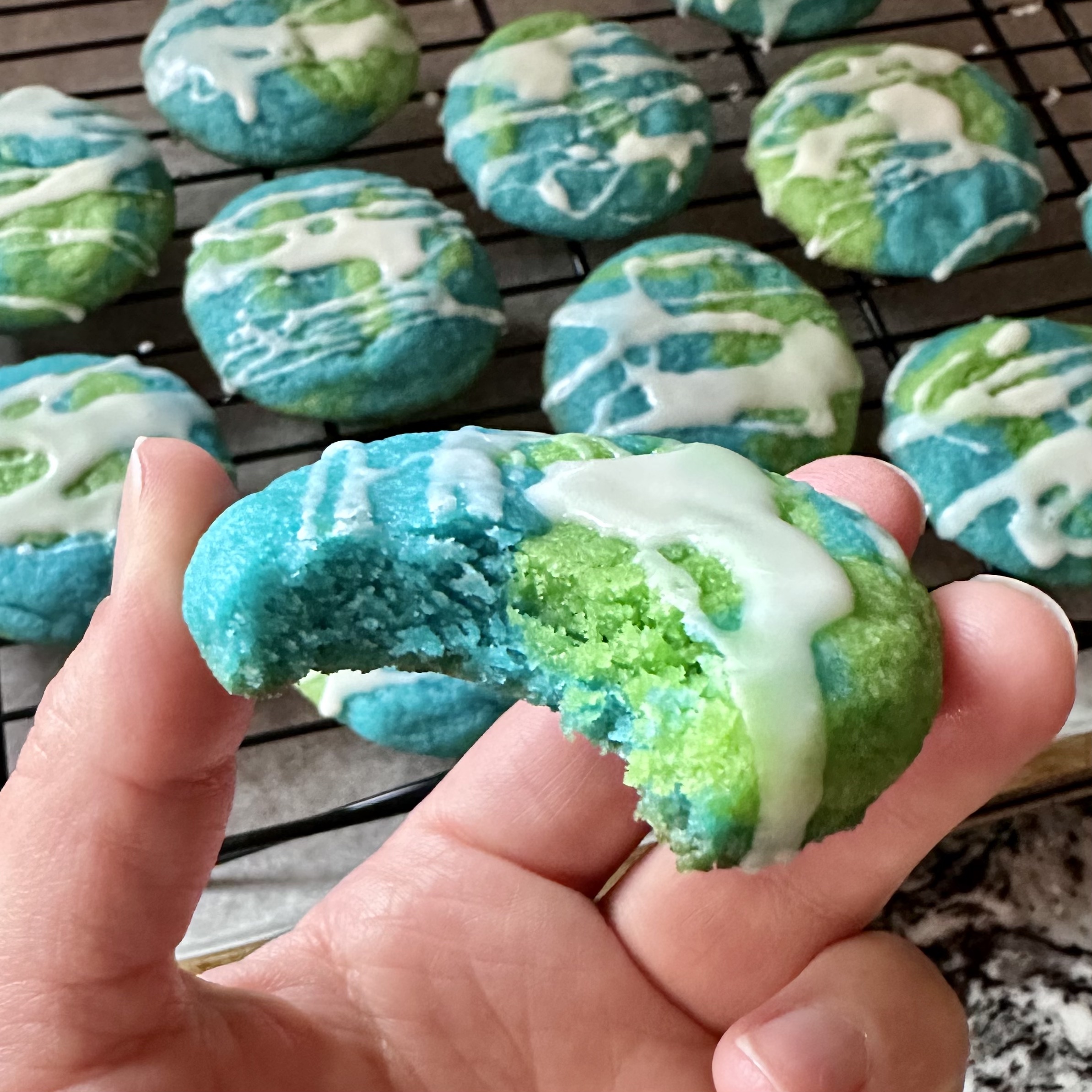 Earth Day Sugar Cookies (egg free) Safely Delish
