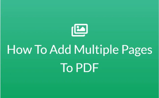 Add Blank Pages To PDF – Insert Blank Pages In PDF Anywhere