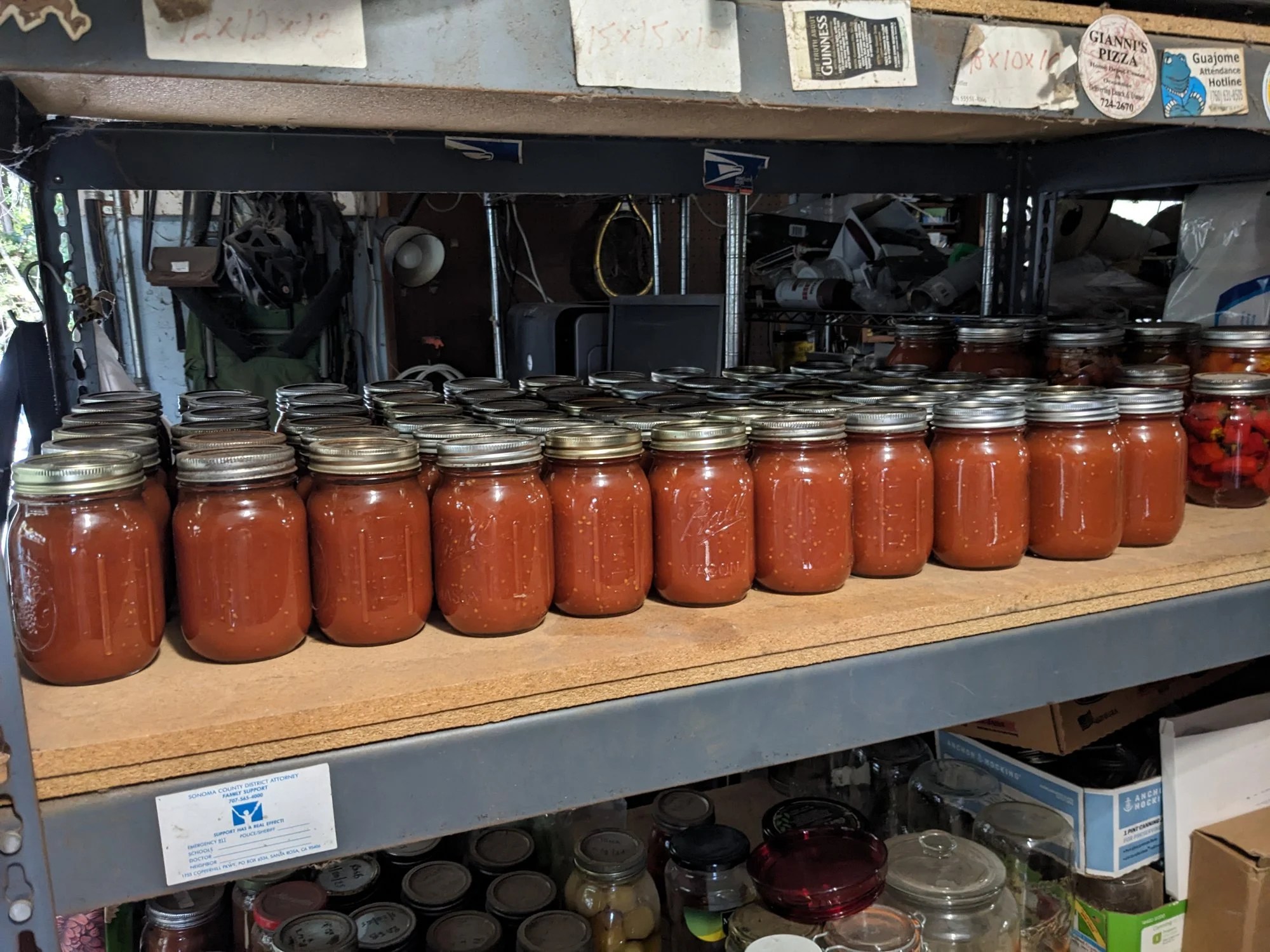A shelf in a storage room with dozens of pint jars of tomato sauce on it