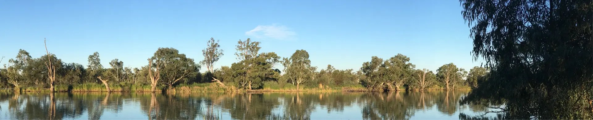 Murray River