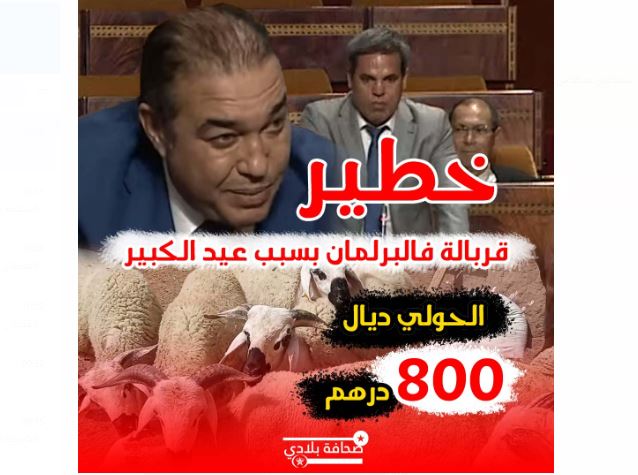 خطير .. قربالة فالبرلمان بسبب عيد الكبير و الحولي ديال 800 درهم +(فيديو)