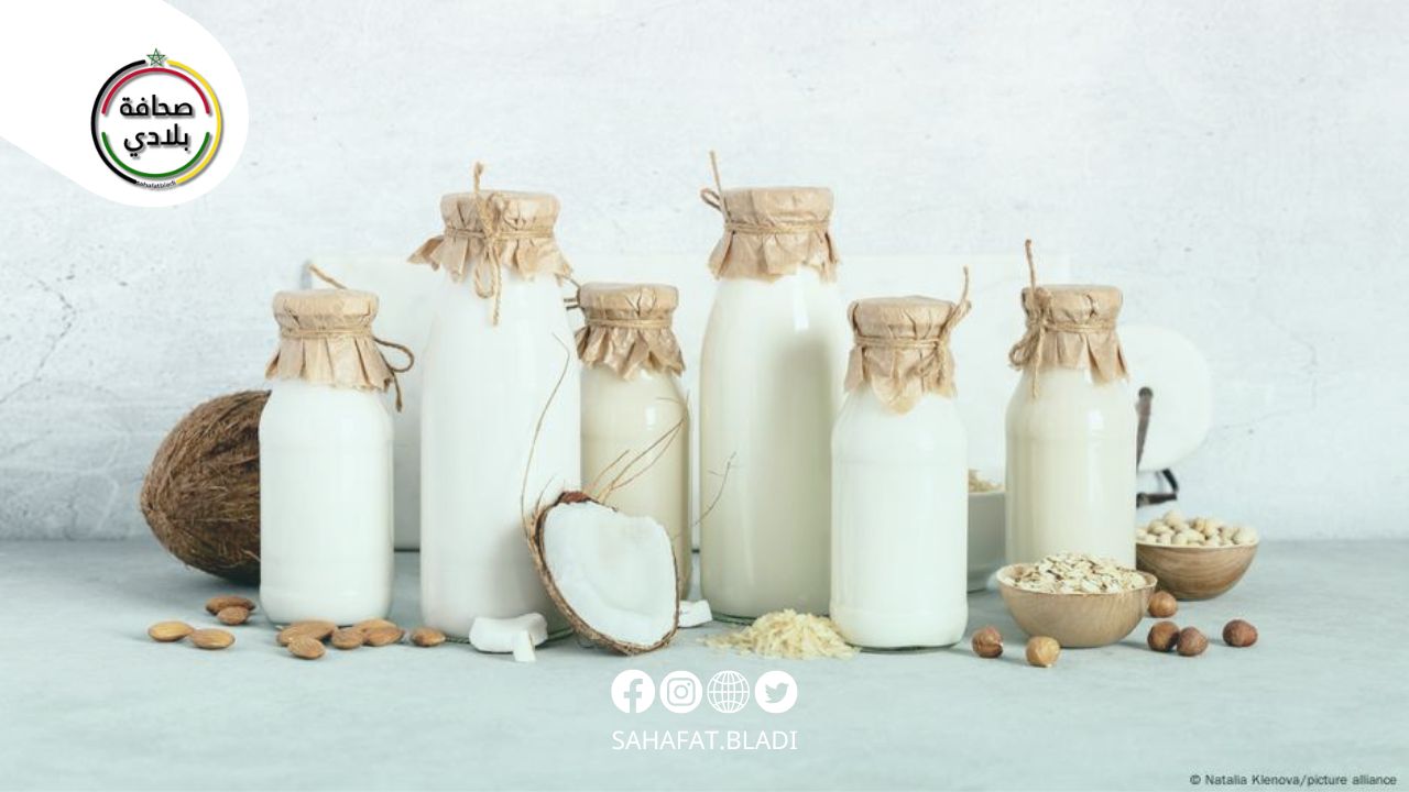 أيهما الأفضل؟ خبراء تغذية يكشفون أسرار الحليب الحيواني والنباتي
