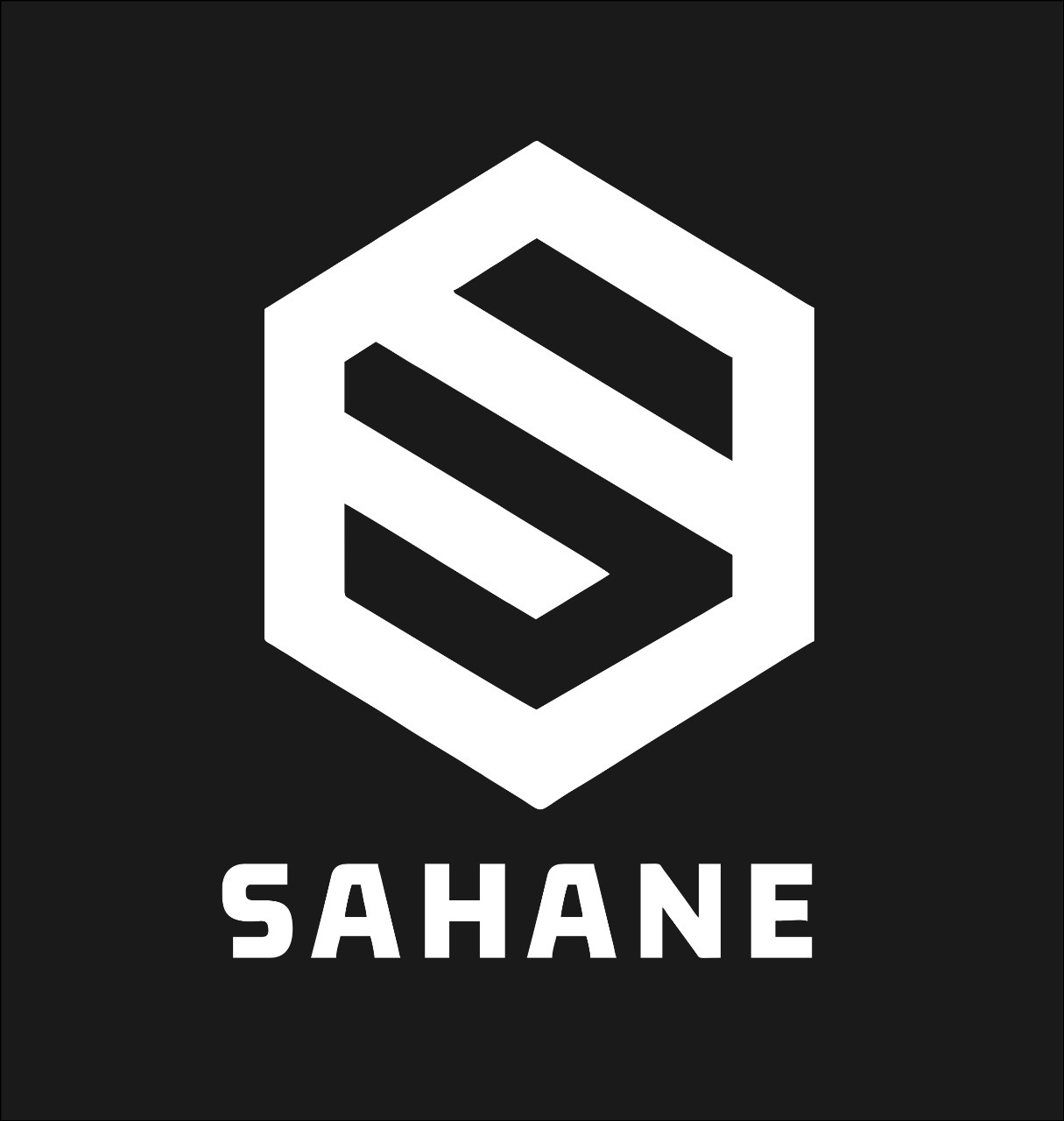 Sahane Consultoria & Servicos Lda. Logo
