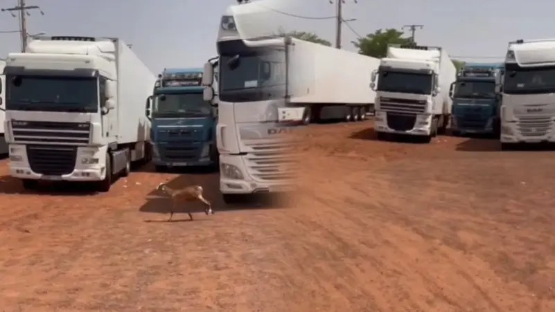 مالي.. الإفراج عن سائقين مغاربة اختطفو منذ أشهر قرب بوركينا فاسو