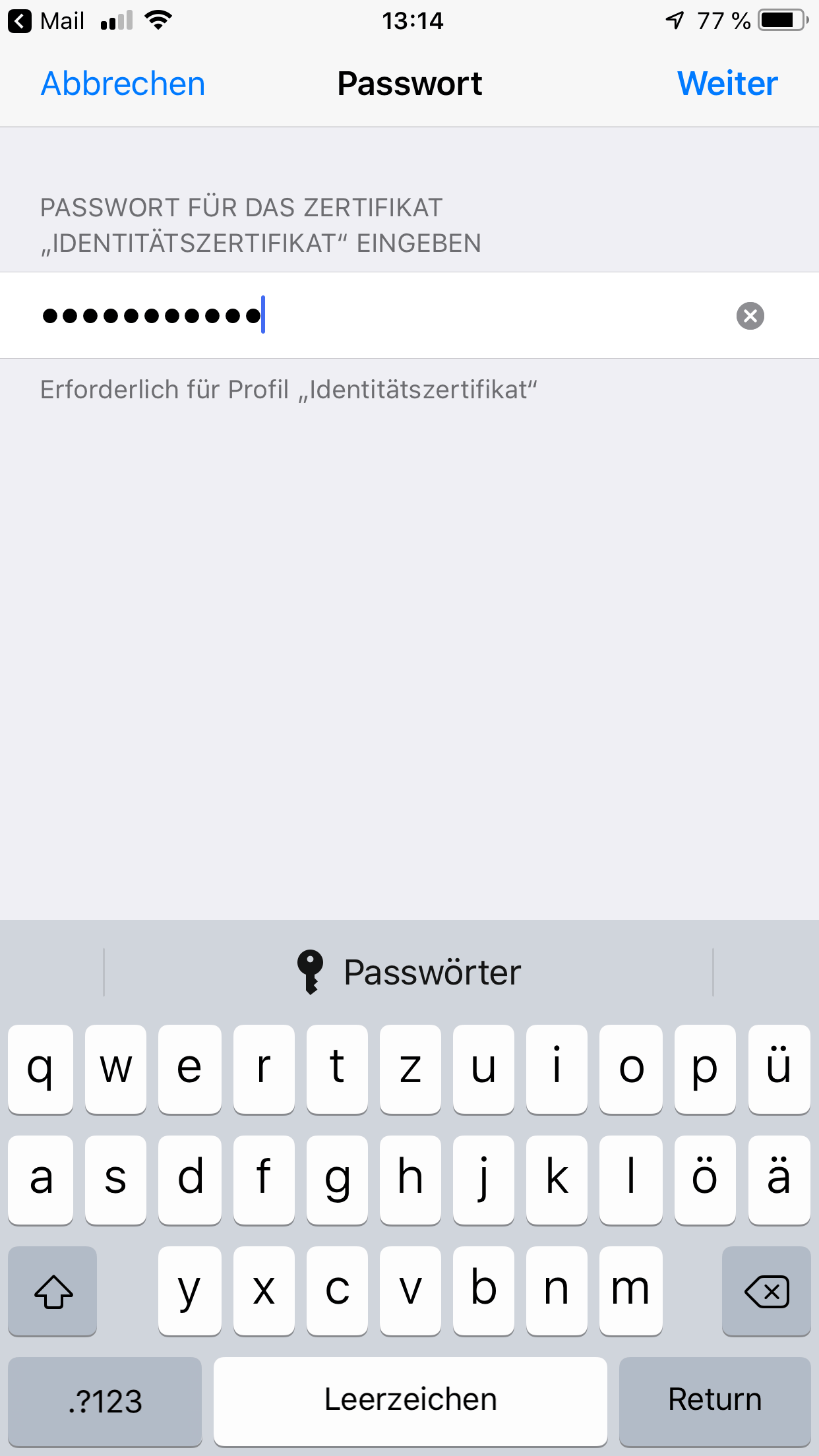 iOS Passwort