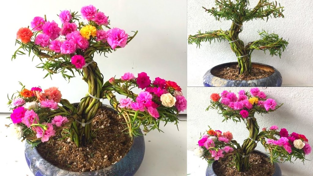Cach Tạo Dang Bonsai Ä'á»c Lạ Cho Hoa Mưá»i Giá» Urban Routine
