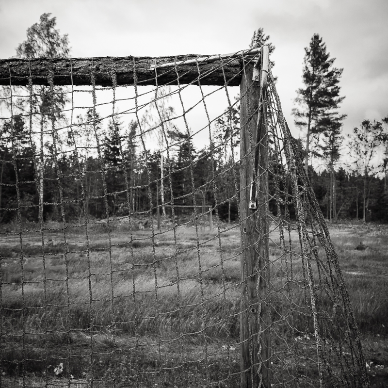 Notera den obarkade ribban