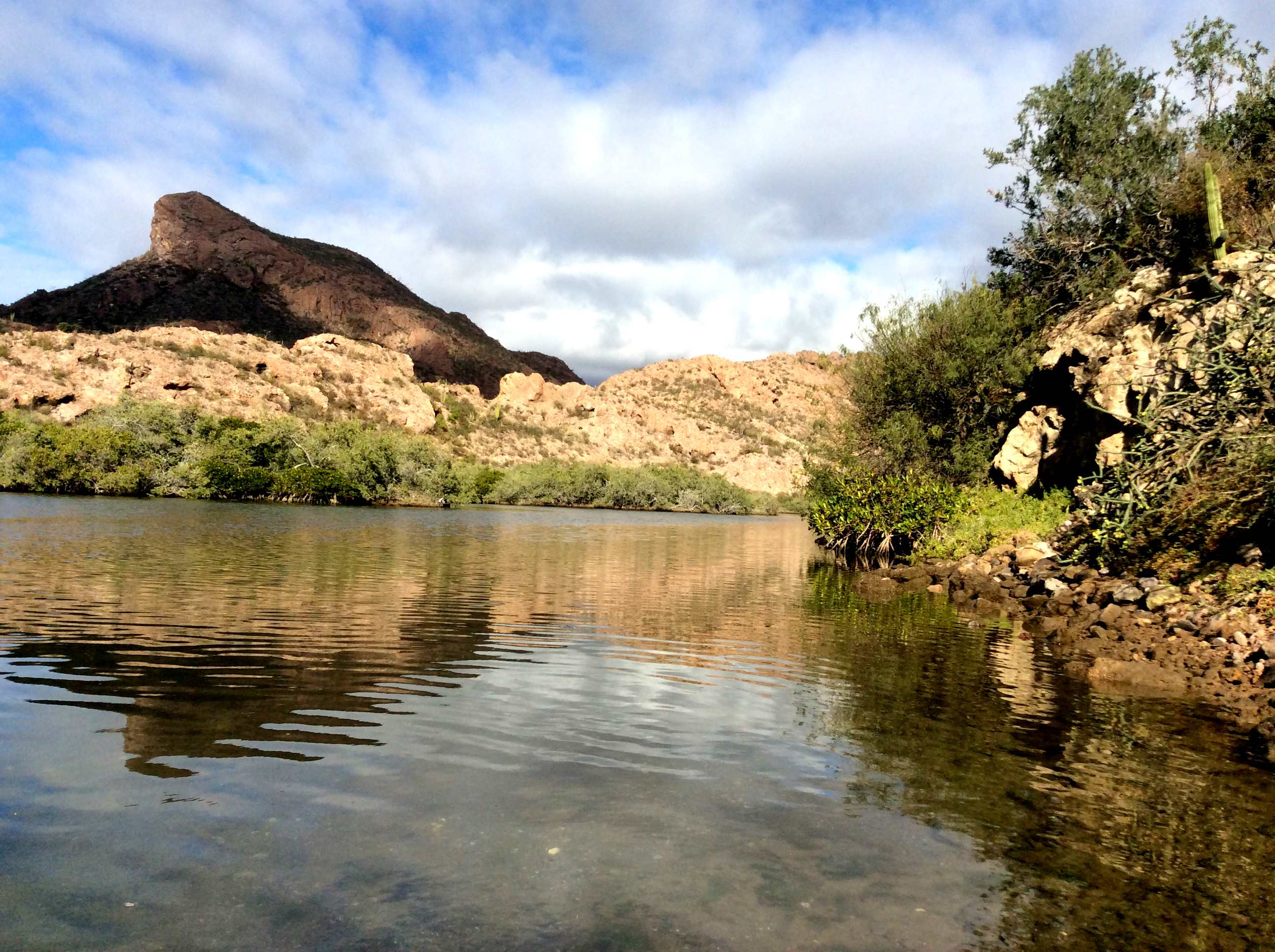 Just outside of Marina San Carlos, Mexico by kayak