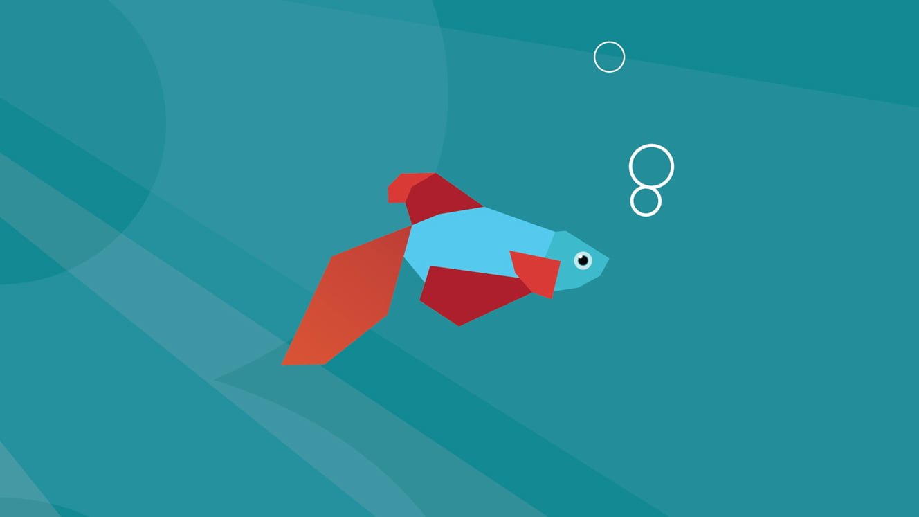 Bagaimana Ikan Tidur Kalau Matanya Selalu Terbuka?