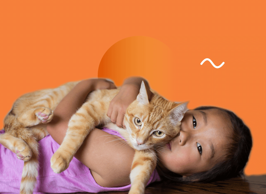 Pegang Kucing Bikin Mandul, Bener Gak Sih? (Jawaban dan Saran untuk Kamu yang Suka Kucing, Tapi Takut Mandul!)