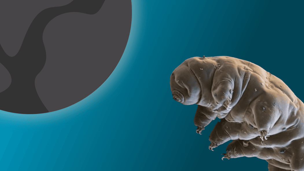 Apa itu tardigrade? Kenapa bisa sampai di Bulan?