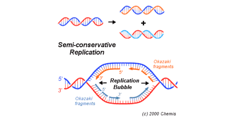 Materi genetik yaitu unit pewarisan sifat bagi makhluk hidup Pengertian Materi Genetik DNA dan RNA (Lengkap)