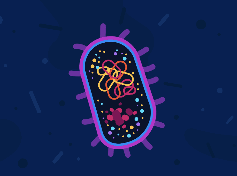 Apa itu Bakteri E Coli? Penyakit dan Cara Menanganinya