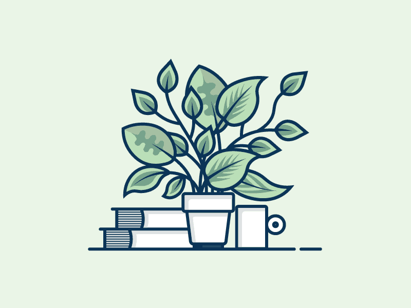 Pteridophyta: Pengertian,  Ciri-Ciri, Klasifikasi, dan Manfaatnya [+GAMBAR]