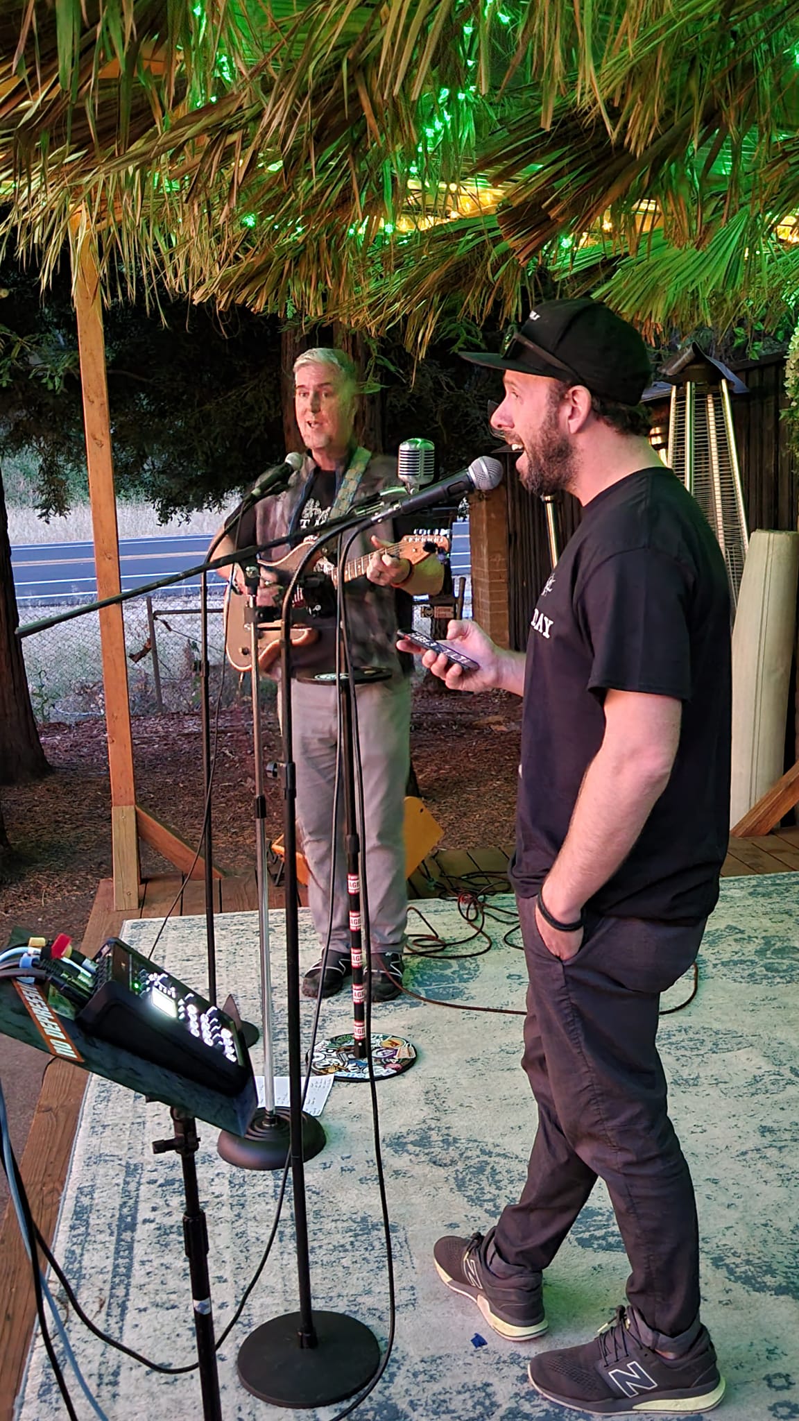 mike and ted singing on stage