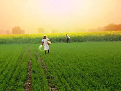 Agri universities to accept agriculture as Class XII subject for BSc admissions under ICAR quota, ETEducation