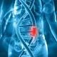 14TH SCIDNA GENOME