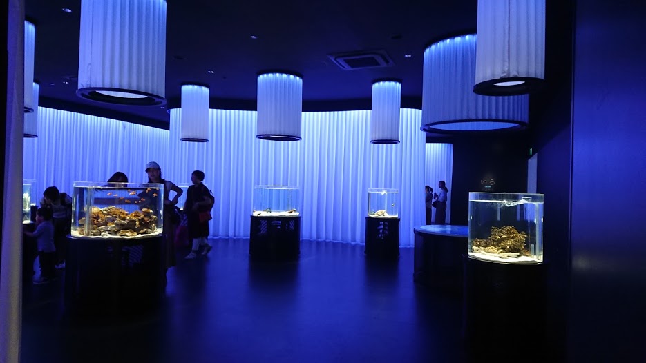 【2019年6月大阪】新しい水族館「ニフレル」がおすすめ！日本最大級の大型複合施設「expocity」をぶらりの旅