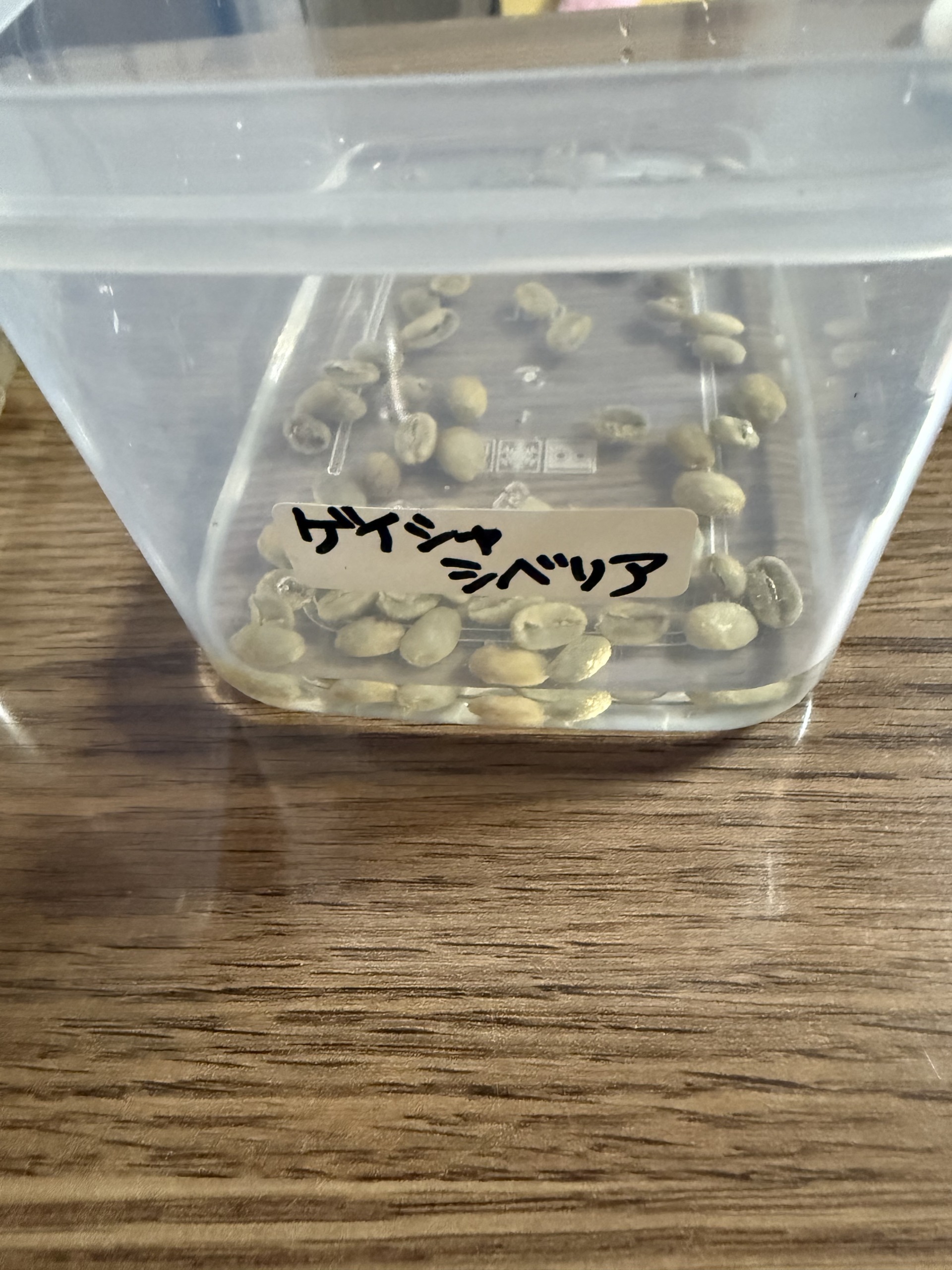 ゲイシャシベリアの生前。とても形が良く大きさも均一