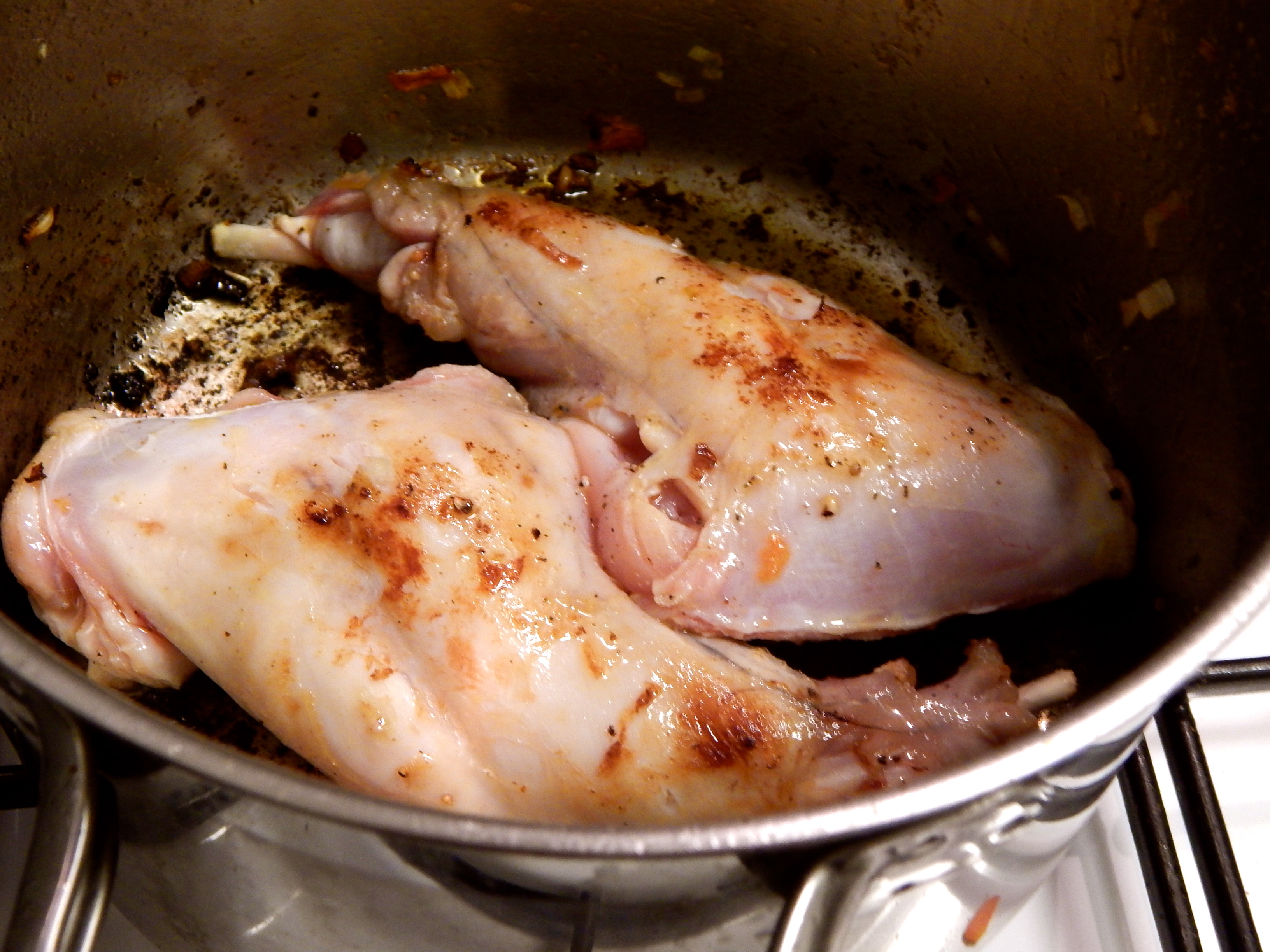 doure o coelho separado